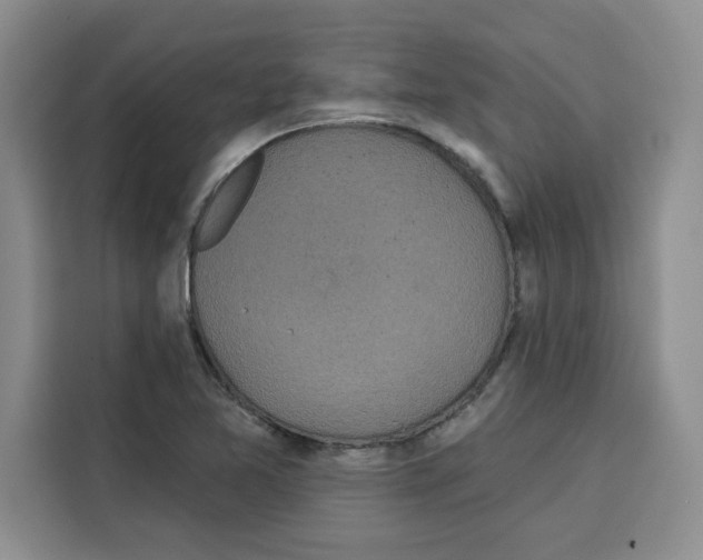 X0000115091365200911241205