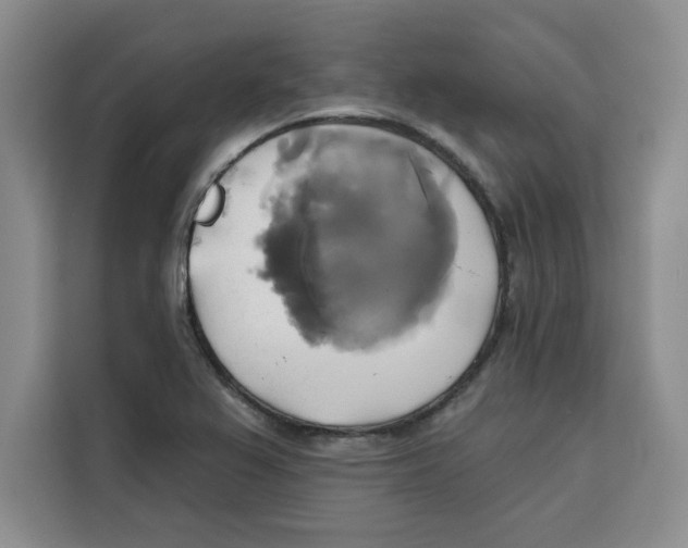 X0000115091367200911241205