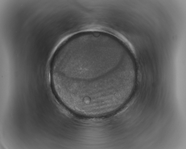 X0000115091368200911241205