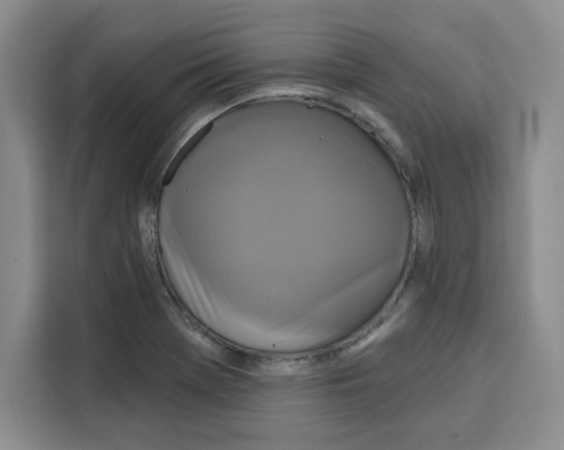 X0000115091369200911241205