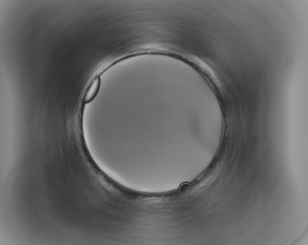 X0000115091373200911241205