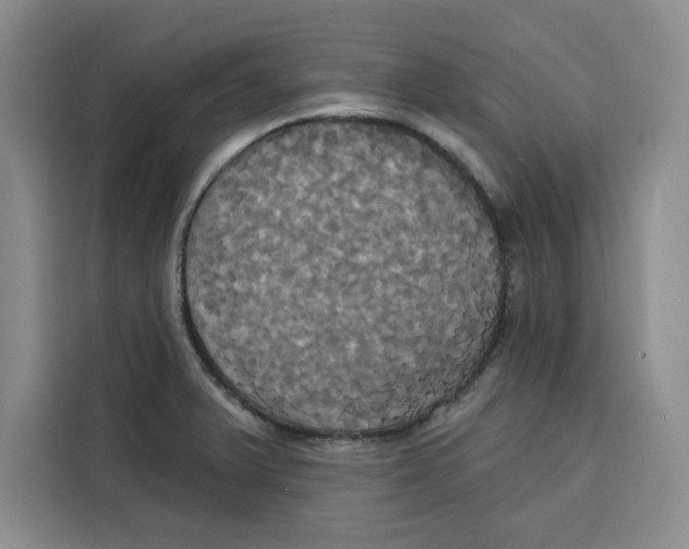 X0000115091375200911241205