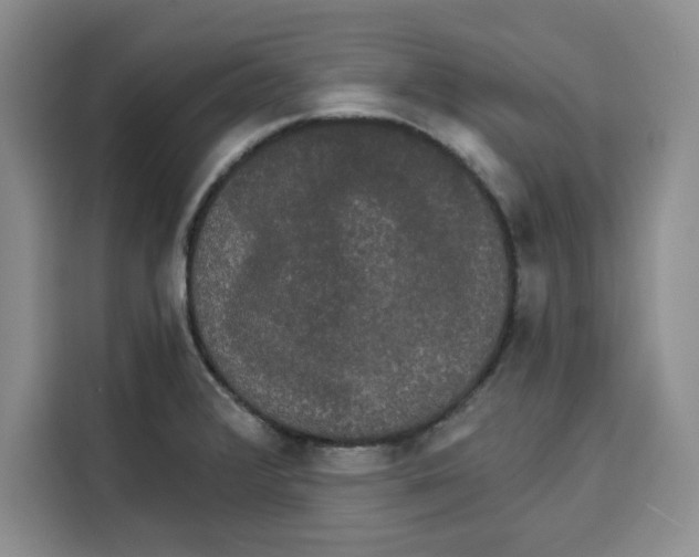 X0000115091376200911241205