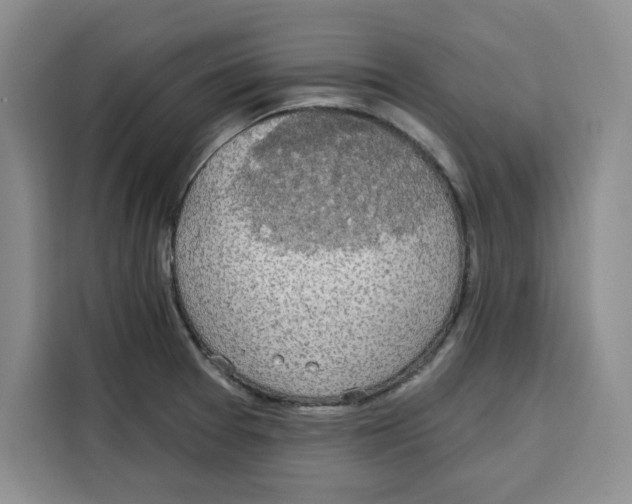 X0000115091377200911241205