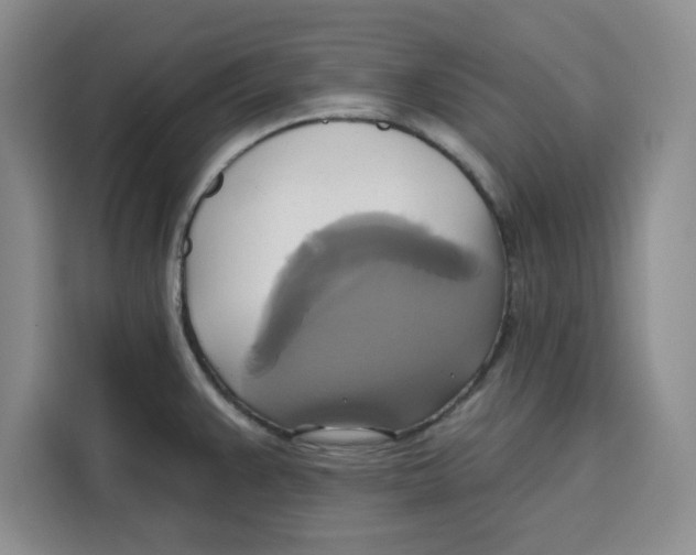 X0000115091383200911241205