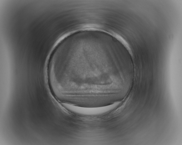 X0000115091384200911241205