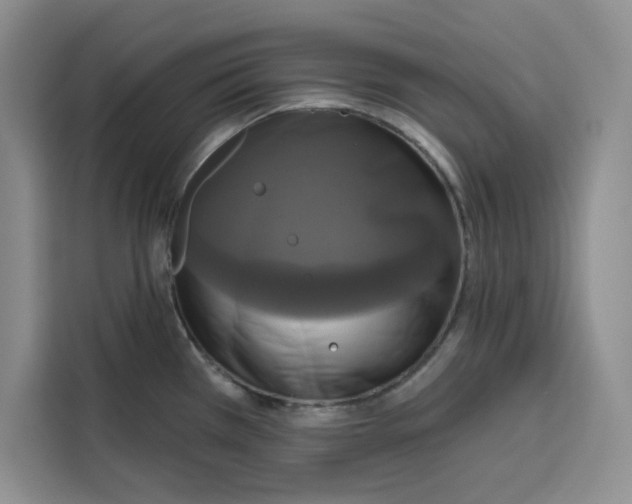 X0000115091385200911241205