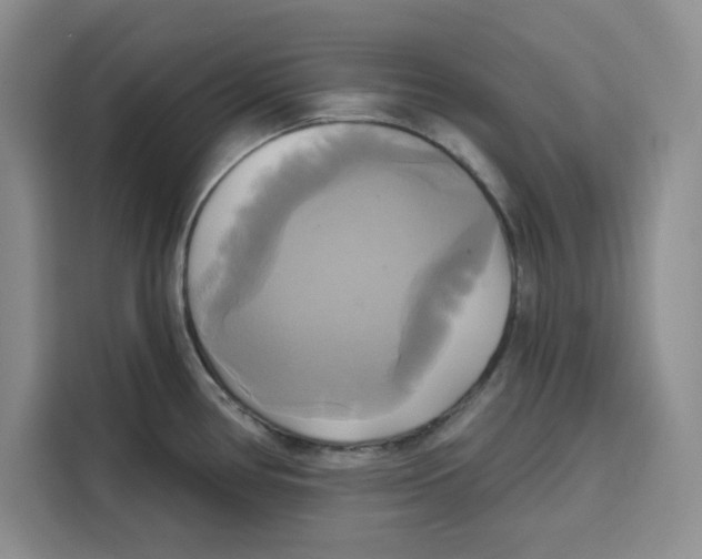 X0000115091386200911241205