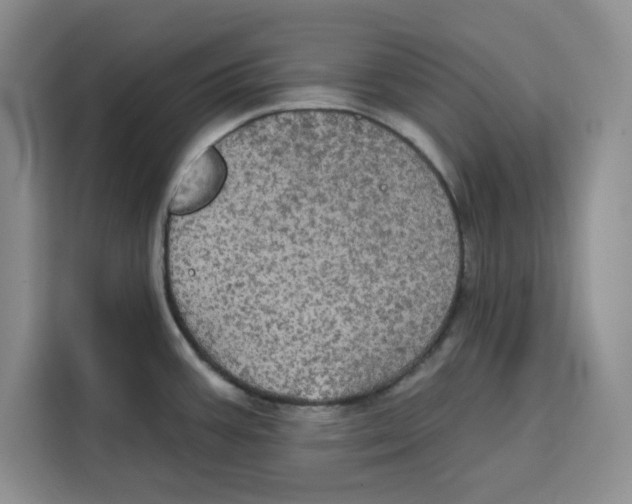 X0000115091387200911241205