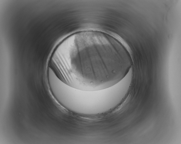 X0000115091388200911241205