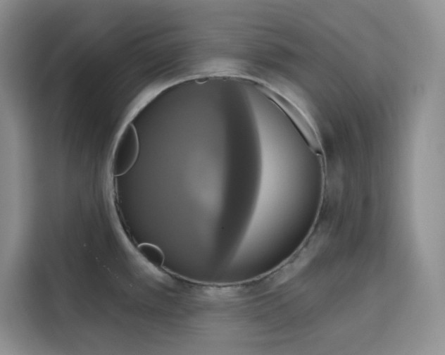 X0000115091389200911241205