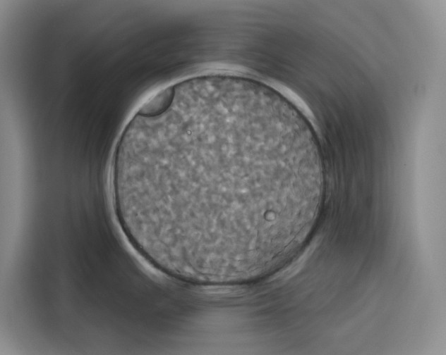 X0000115091391200911241204