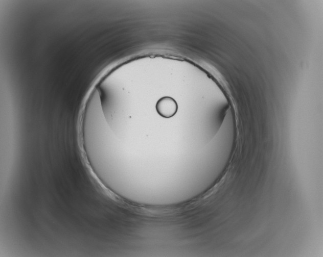 X0000115091392200911241204