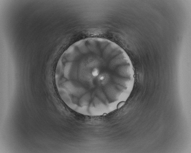 X0000115091393200911241204