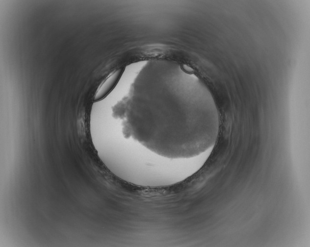 X0000115091394200911241204