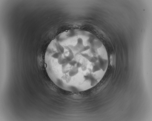 X0000115091395200911241204