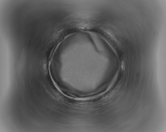X0000115091396200911241204