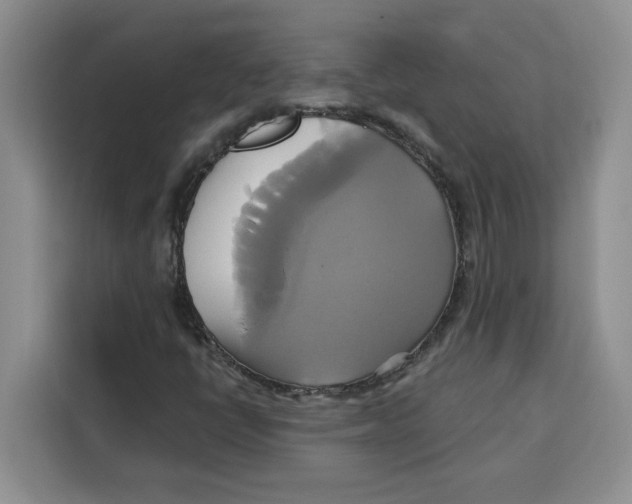 X0000115091398200911241204