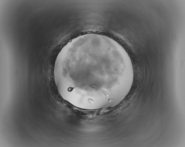 X0000115091399200911241204