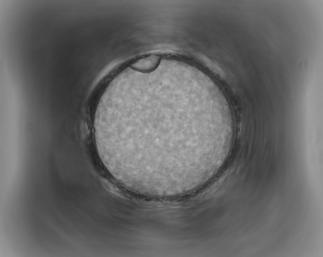 X0000115091400200911241204
