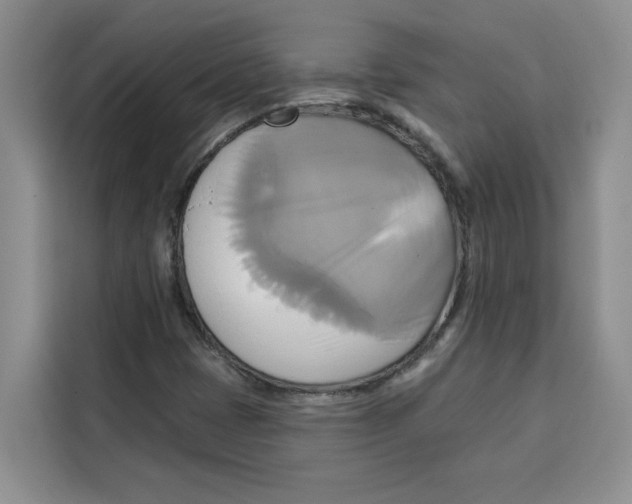 X0000115091401200911241204