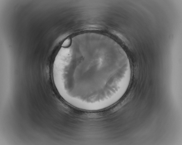 X0000115091402200911241204