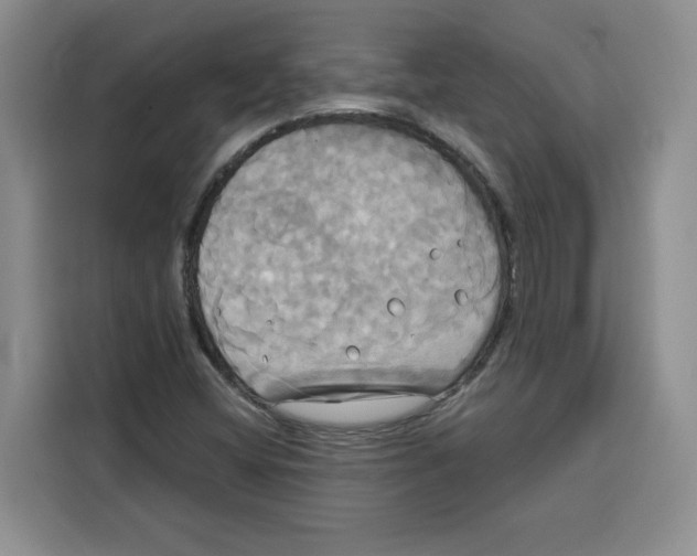 X0000115091404200911241204