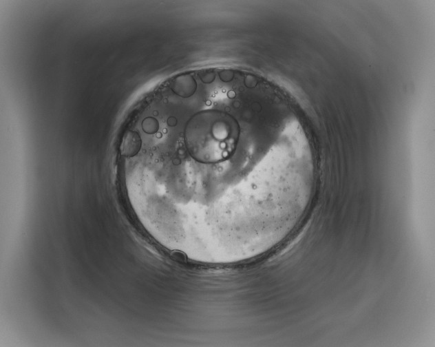 X0000115091406200911241204