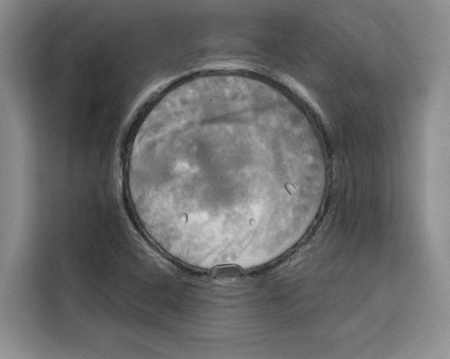 X0000115091408200911241204