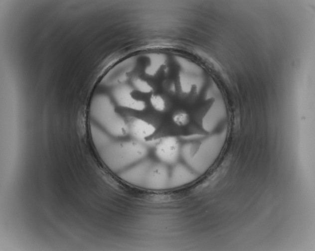 X0000115091409200911241204