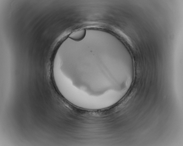 X0000115091411200911241204