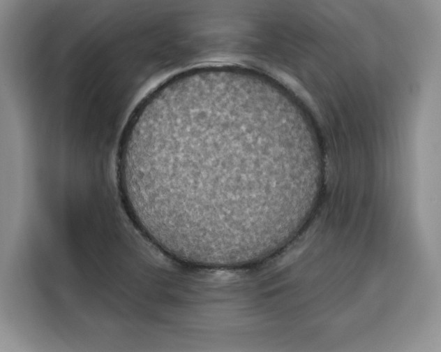 X0000115091412200911241204