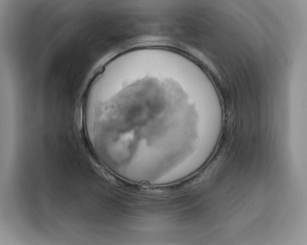 X0000115091413200911241204