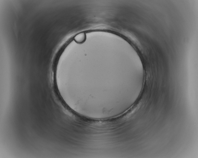 X0000115091414200911241204