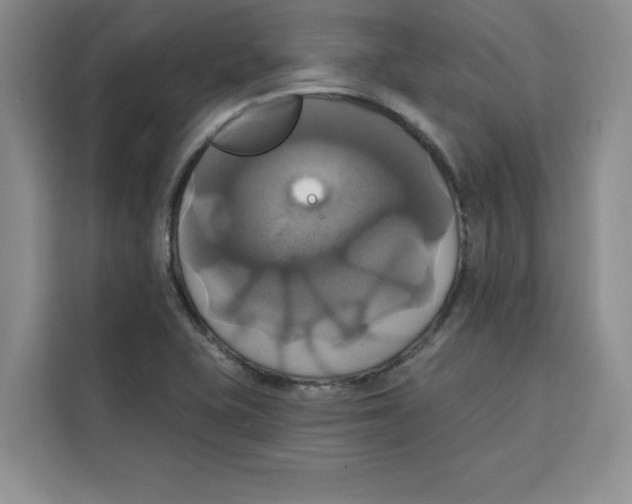 X0000115091415200911241204