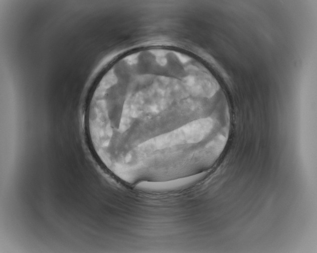 X0000115091416200911241204