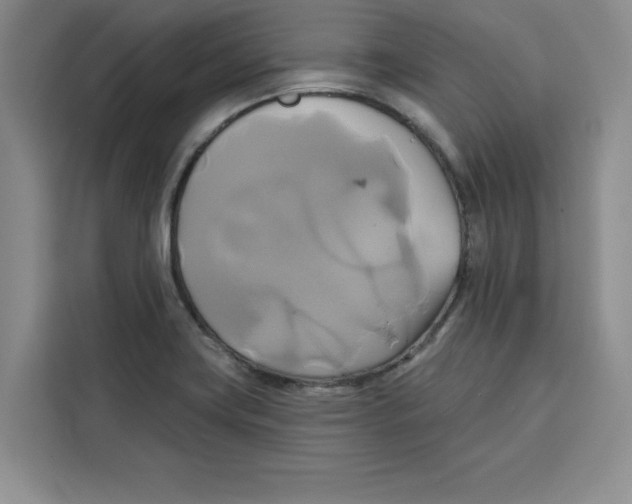 X0000115091419200911241204
