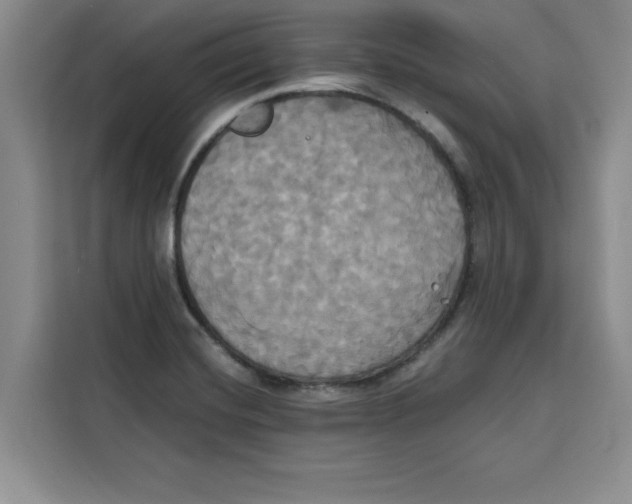 X0000115091420200911241204