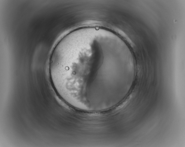 X0000115091421200911241204