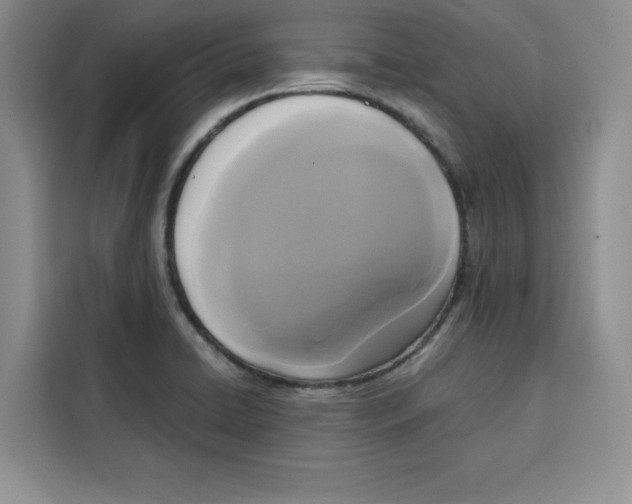 X0000115091422200911241204