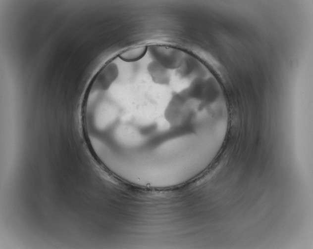 X0000115091423200911241204
