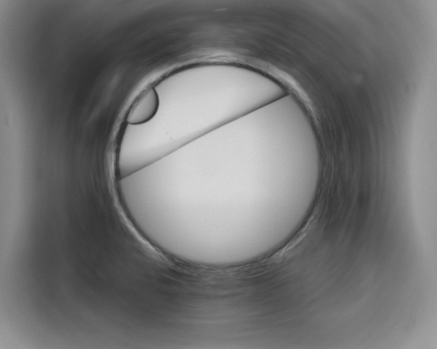 X0000115091424200911241204
