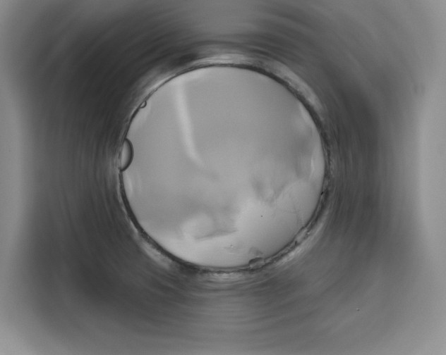 X0000115091425200911241204