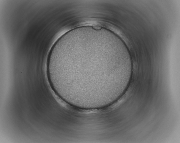 X0000115091426200911241204