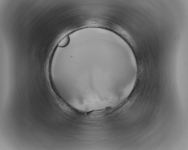 X0000115091427200911241204