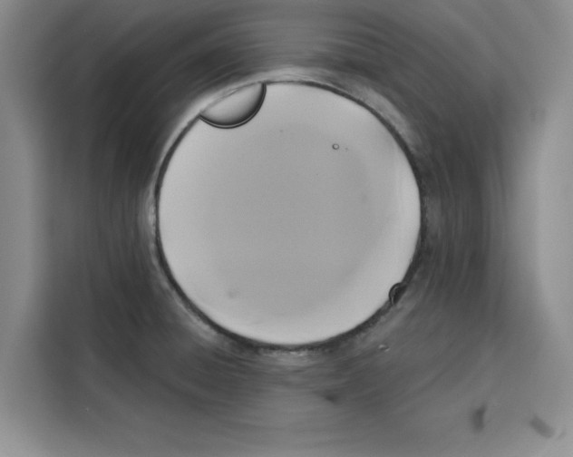 X0000115091428200911241204