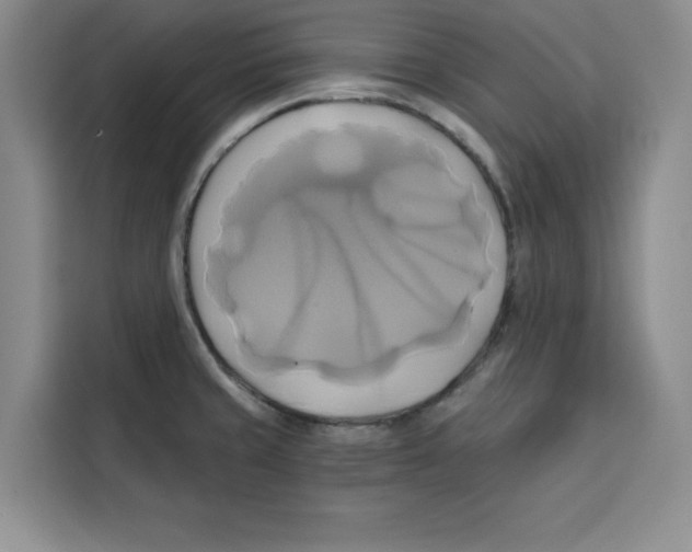 X0000115091429200911241204