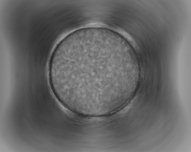 X0000115091430200911241204