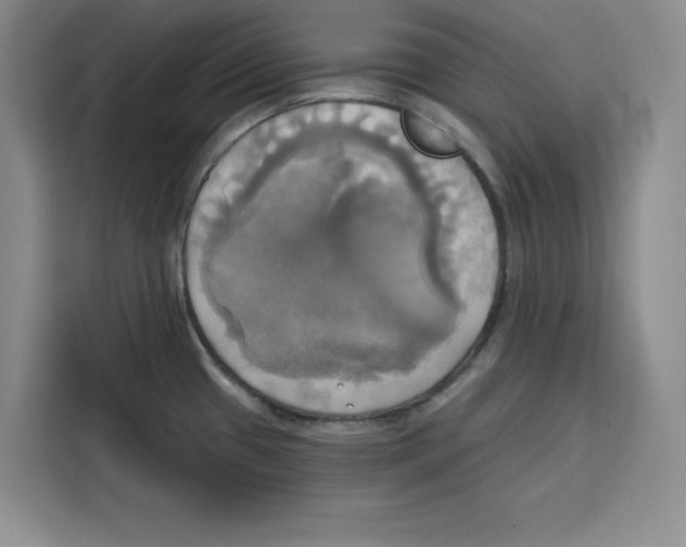 X0000115091433200911241204
