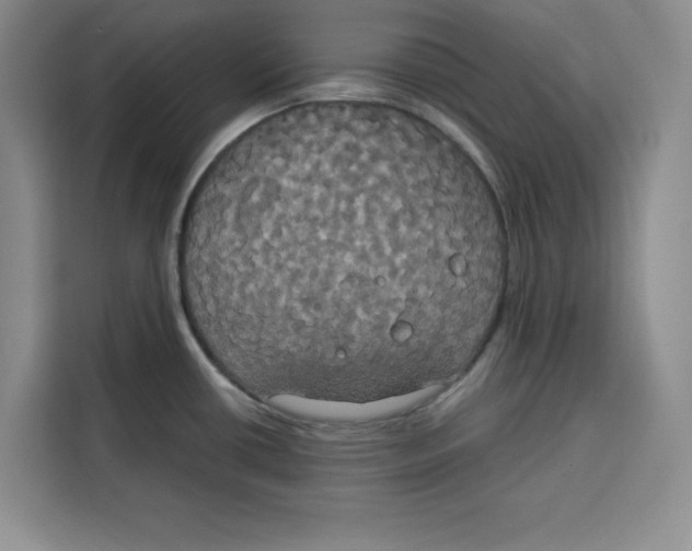 X0000115091434200911241204